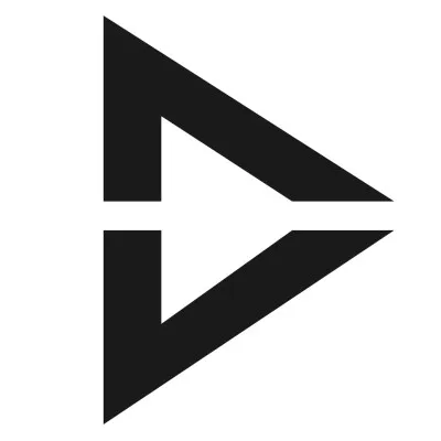 playvisioncorp.com's icon