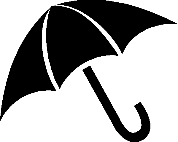 Pleom logo