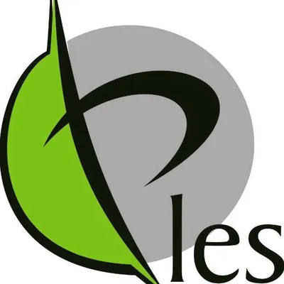 plesng.com's icon