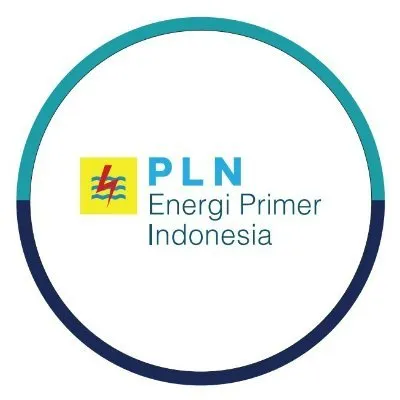 plnepi.co.id's icon
