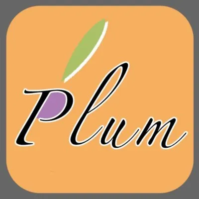 plum-chloride.jp's icon