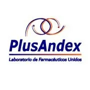 plusandex.com's icon