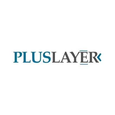 pluslayer.com's icon