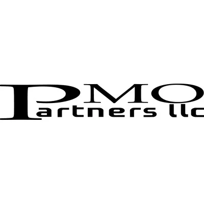 pmopartners.com's icon