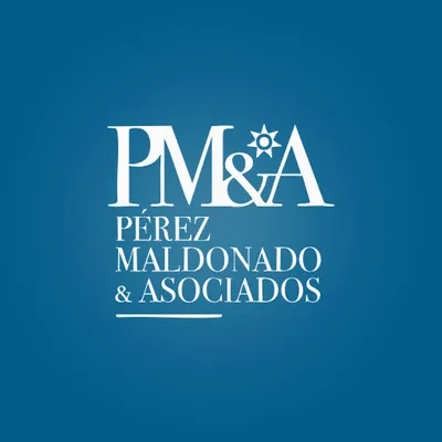 pmyasociados.com's icon