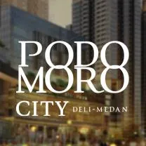 podomorocitydelimedan.com's icon