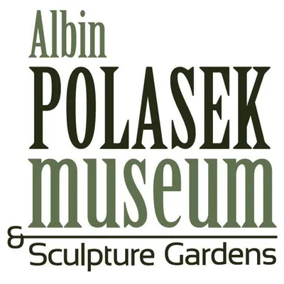 polasek.org's icon