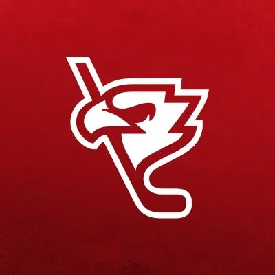 polskihokej.eu's icon