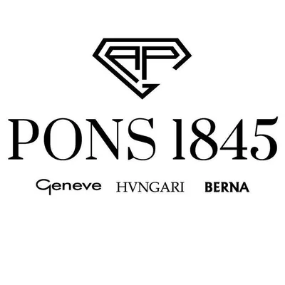 pons1845.com's icon