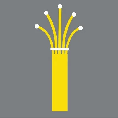 pontoisp.com.br's icon