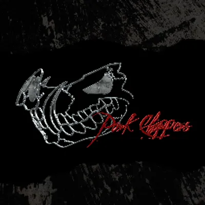 porkchoppersaviation.com's icon