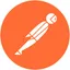 Postman's icon