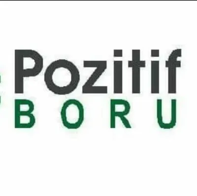pozitifboru.com.tr's icon