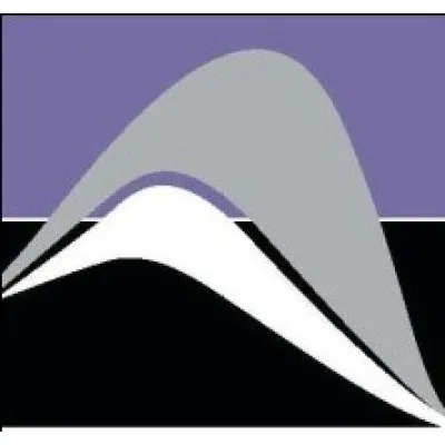 ppaengineers.com's icon