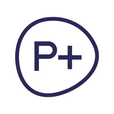 pplus.dk's icon