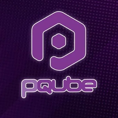 pqube.co.uk's icon
