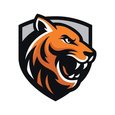 praguetigers.cz's icon