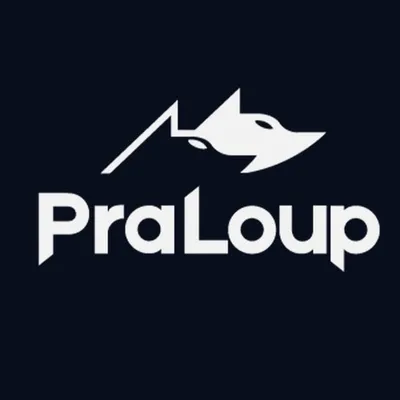 praloup.com's icon