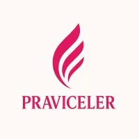 praviceler.com logo