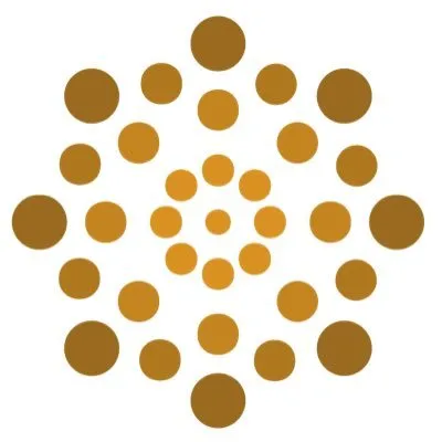 precisioneclinic.com's icon