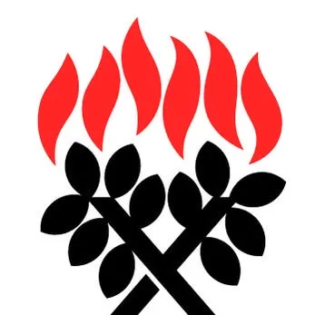 presbyterian.org.nz's icon