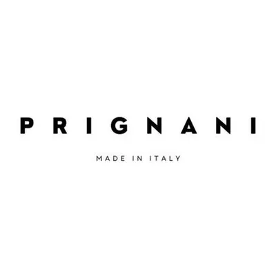 prignani.com's icon