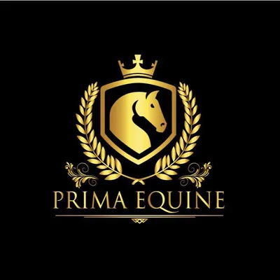 primaequine.com's icon