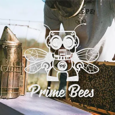 primebees.com's icon
