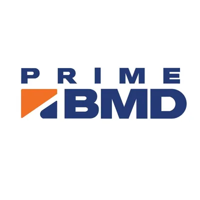 primebmd.com.ph's icon