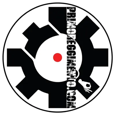 primoreggimento.com's icon