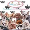princeandprincess.it's icon