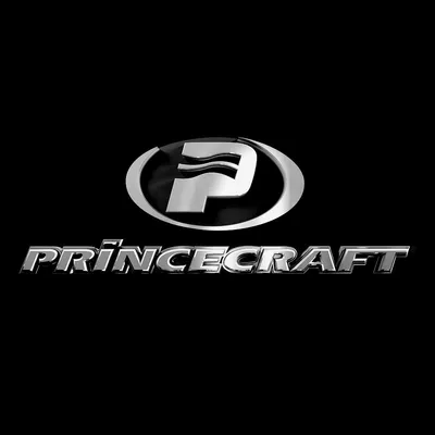 princecraft.com's icon