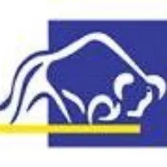 pro-choice.com.cy's icon