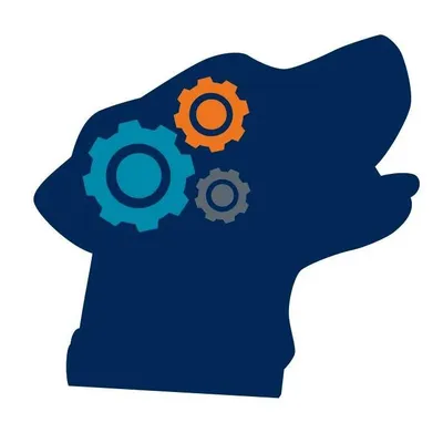 processcanine.com's icon