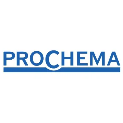 prochema.com's icon