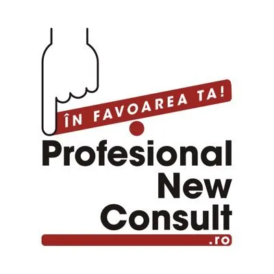 profesionalnewconsult.ro's icon