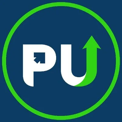 professionalutilities.com's icon