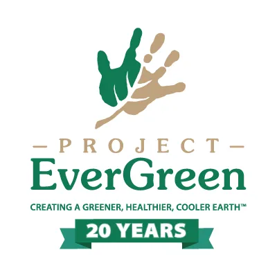 projectevergreen.org's icon