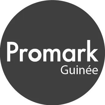 promarkguinee.com's icon