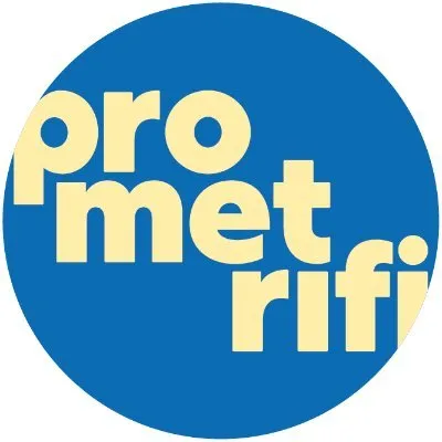 prometrifi.com's icon