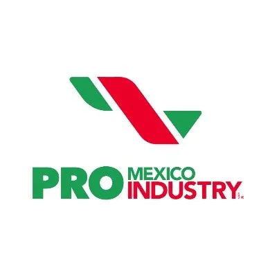 promexicoindustry.com's icon
