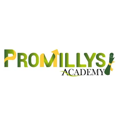 promillys-academy.com's icon
