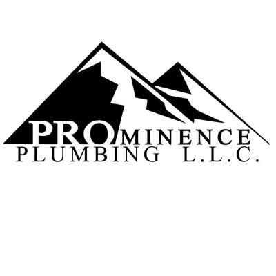 prominenceplumbing.com's icon