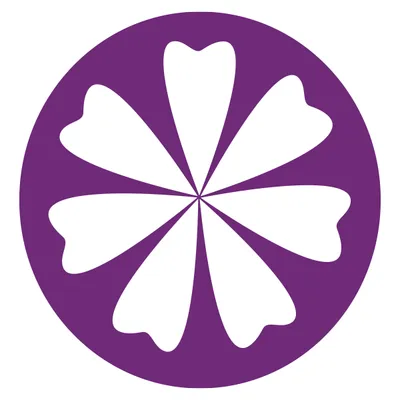 promisedentalcenter.com's icon