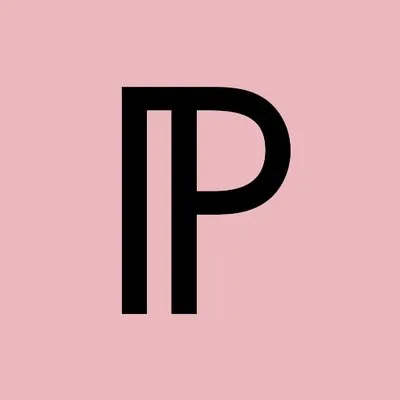 promiss.nl's icon