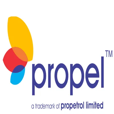 propetrolltd.com's icon