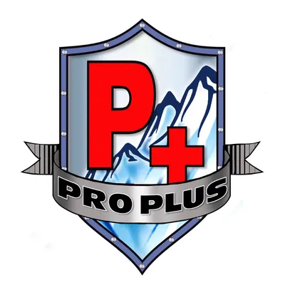 propluspowersports.com's icon
