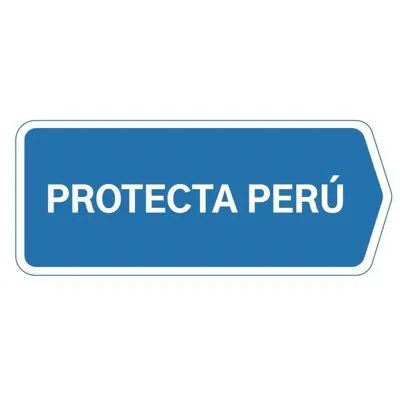 protectaperu.com's icon