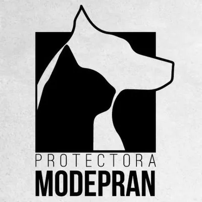 protectoramodepran.com's icon