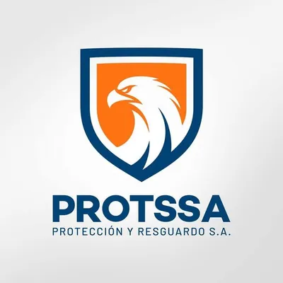 protssa.com.pe's icon